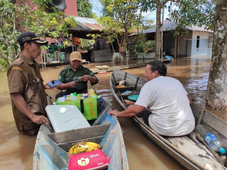 tumbang mangkutup