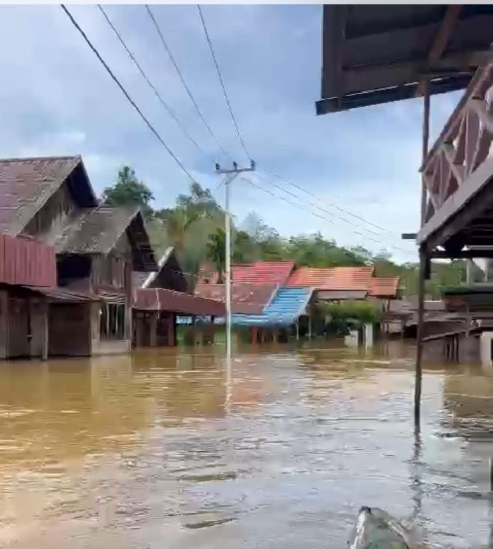 kapuas tengah