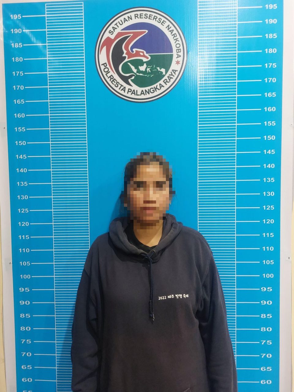 pengedar