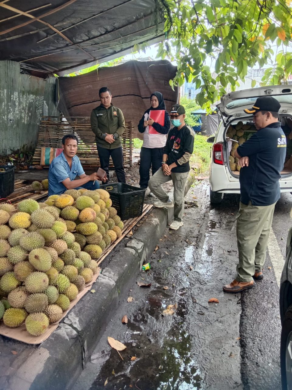 pedagang buah