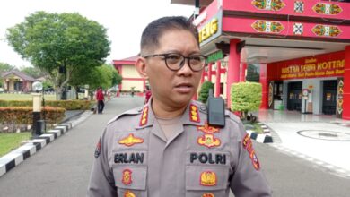 tambang emas ilegal