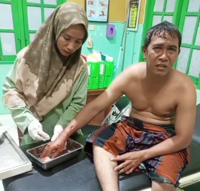 buaya